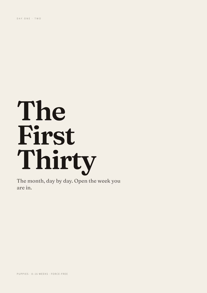 Cover of The First Thirty