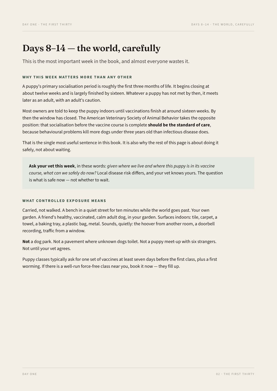 Days 8 to 14 page about the socialisation window